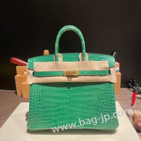 エルメスバーキン 25センチポロサスマットporous Crocodile 1L/Cactus カクタスゴールド金具  全手縫いbirkin25-003