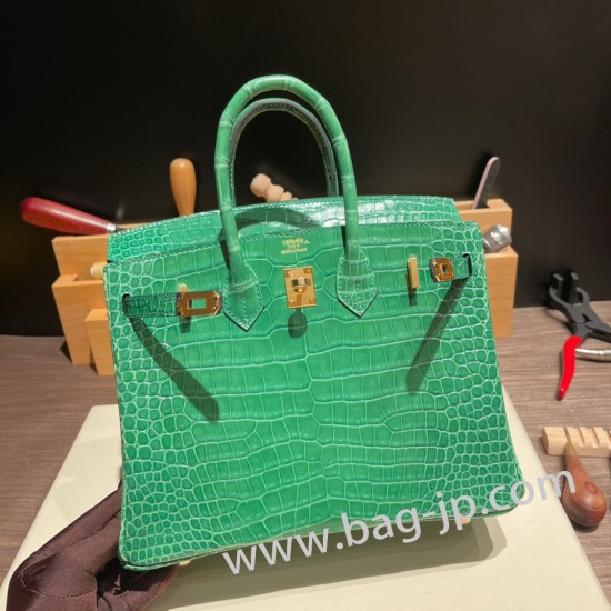 エルメスバーキン 25センチポロサスマットporous Crocodile 1L/Cactus カクタスゴールド金具  全手縫いbirkin25-003