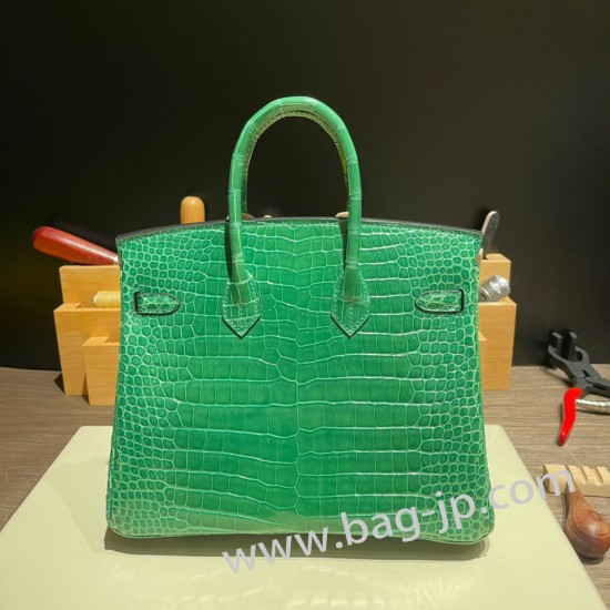 エルメスバーキン 25センチポロサスマットporous Crocodile 1L/Cactus カクタスゴールド金具  全手縫いbirkin25-003