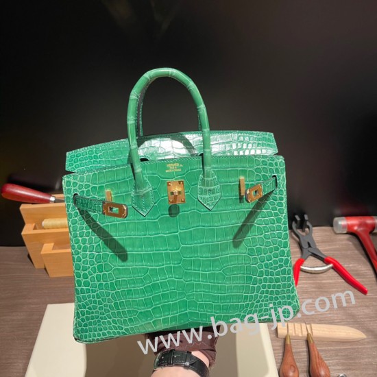 エルメスバーキン 25センチポロサスマットporous Crocodile 1L/Cactus カクタスゴールド金具  全手縫いbirkin25-003