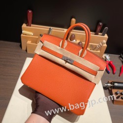 エルメスバーキン 25センチトゴ Togo テールバテュー R1/Terre Battue シルバー金具 全手縫いbirkin25-093