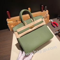 エルメスバーキン 25センチトゴ Togo カノピV6/ Canopeゴールド金具  全手縫いbirkin25-103